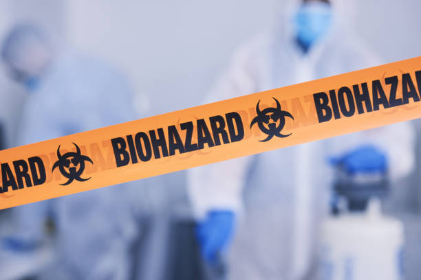 Professional Odor Removal technician working in Sidney, IL